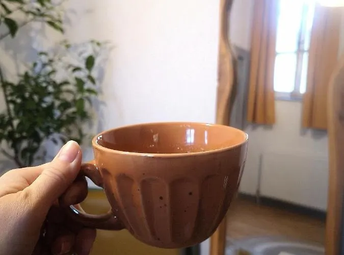 Codicei Брашов