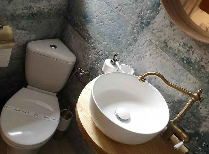 Codicei Брашов